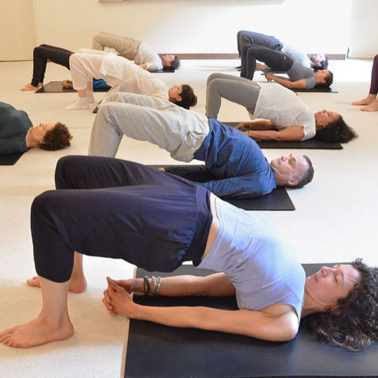 école française de yoga